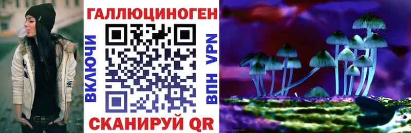 Псилоцибиновые грибы Cubensis  ОМГ ОМГ зеркало  Троицк 