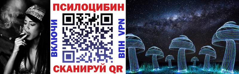 Псилоцибиновые грибы Psilocybe Троицк